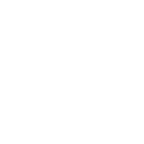 Google Plus